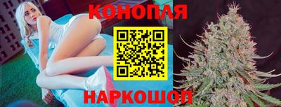 стафф Краснокаменск
