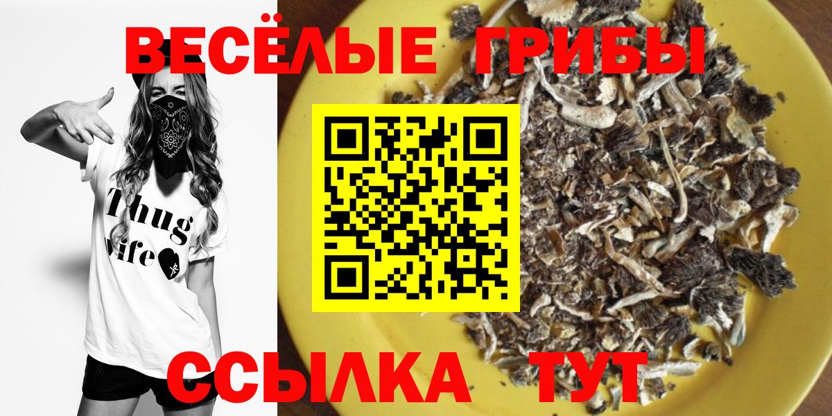Псилоцибиновые грибы Magic Shrooms Дальнегорск