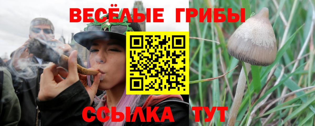 Дальнегорск  Псилоцибиновые грибы Cubensis  купить закладку  Вход с VPN  Псилоцибиновые грибы мухоморы 