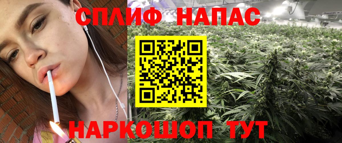 Каннабис MAZAR  Вход с VPN  Дальнегорск  Бошки марихуана план  Каннабис конопля 